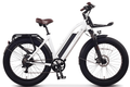 ET Cycle T720 - Amego Electric Vehicles