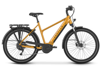 Gazelle Medeo T10 Mid-Step Bosch Smart System - Amego Electric Vehicles