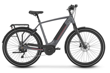 Gazelle Ultimate T10 High-Step - Amego Electric Vehicles