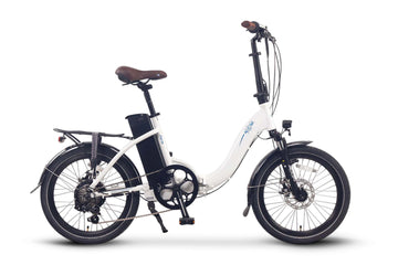 NCM Paris - Amego Electric Vehicles