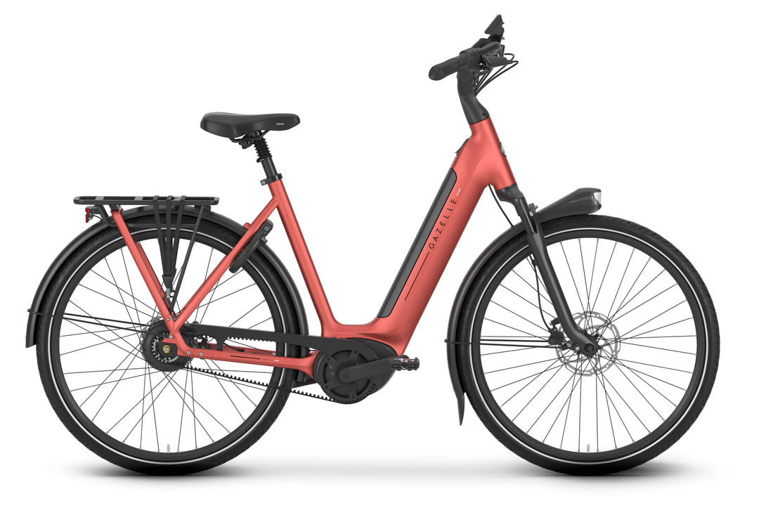 Gazelle Arroyo C380 Bosch Smart System - Amego Electric Vehicles