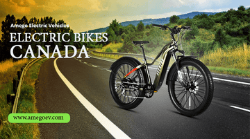 Is Electric Bike Actually Economic?