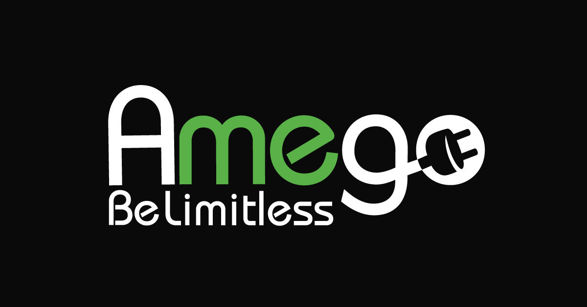 www.amegoev.com