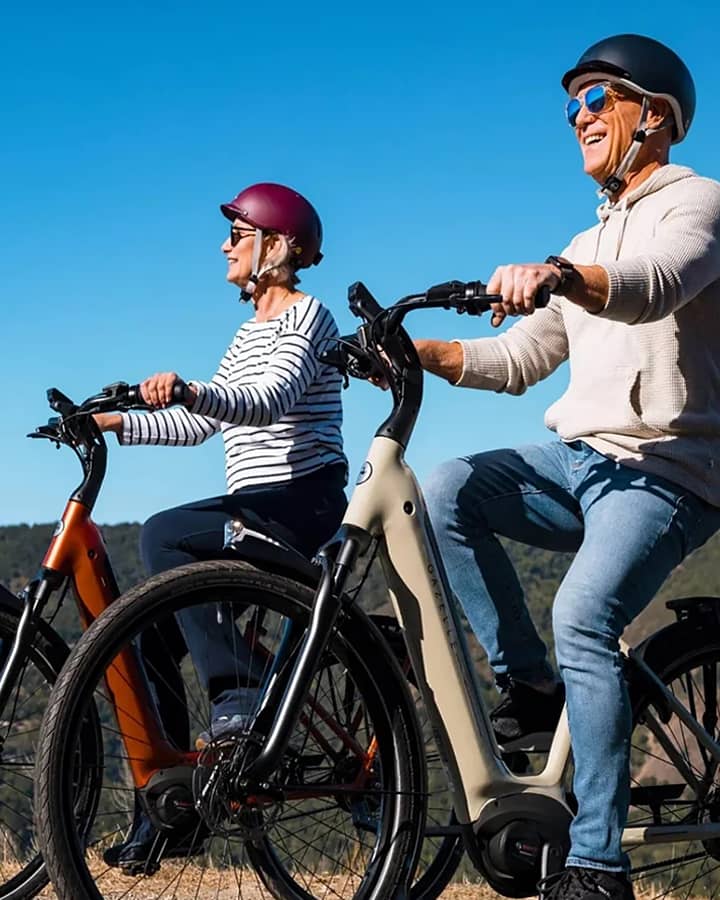 amego electric bicycles Velotric Fold 1 Plus 2019 Amego Infinite Review -