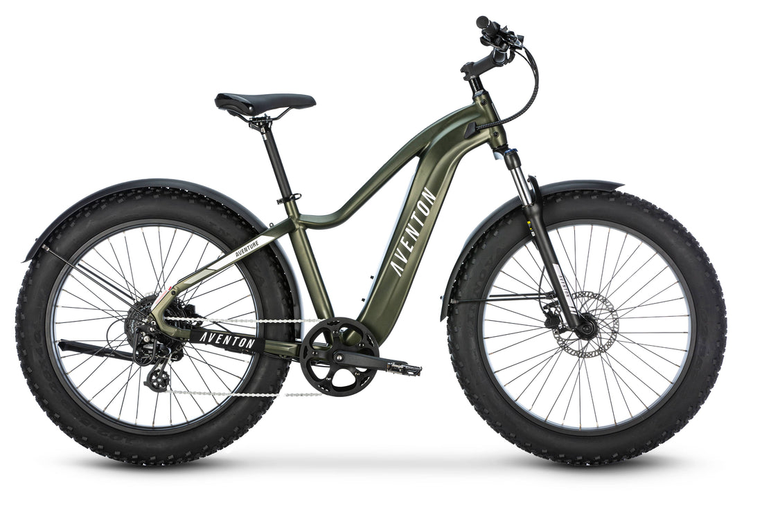 Aventure 2 High-Step  - Amego Electric Vehicles