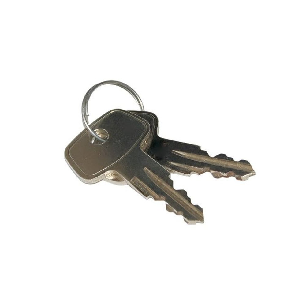 Bionx Replacement Key- Amego Electric Vehicles