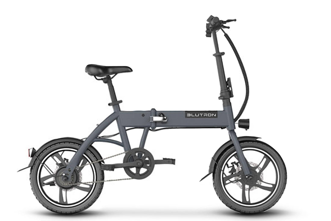 Blutron EB380F - Amego Electric Vehicles