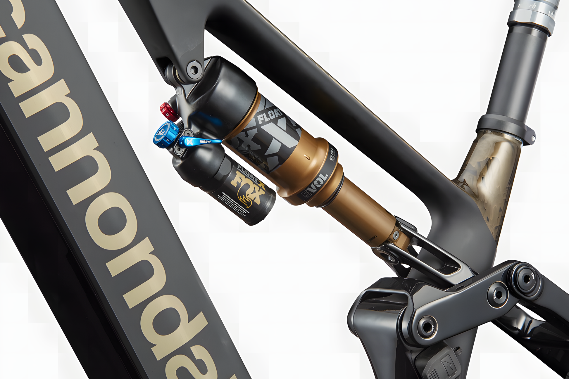 Cannondale Moterra Neo SL - Amego Electric Vehicles
