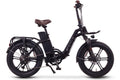 ET Cycle F1000 - Amego Electric Vehicles
