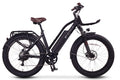 ET Cycle T1000- Amego Electric Vehicles