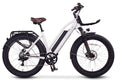 ET Cycle T1000- Amego Electric Vehicles