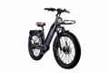ET Cycle T720- Amego Electric Vehicles