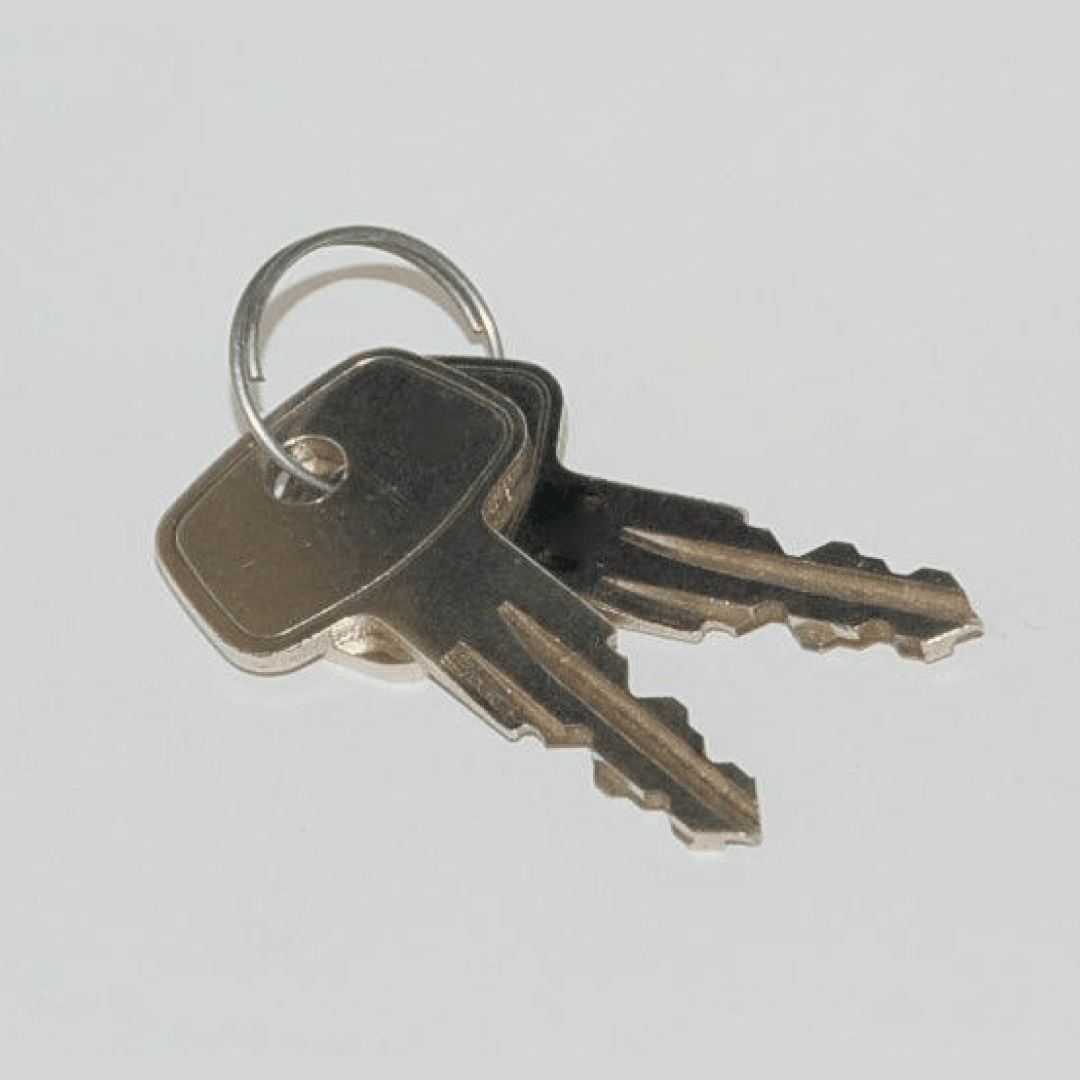 Bionx Replacement Key