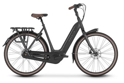 Gazelle Arroyo Elite C8 Low-Step
