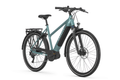 Gazelle Medeo T10 Mid-Step - Amego Electric Vehicles
