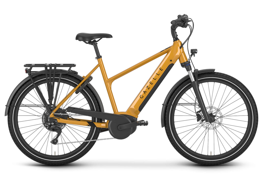 Gazelle Medeo T10 Mid-Step Bosch Smart System- Amego Electric Vehicles