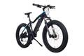 NCM Aspen Electric Fat Bike - Amego Electric Vehicles