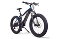 NCM Aspen Electric Fat Bike NCM