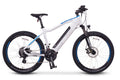 NCM Moscow M3 - Amego Electric Vehicles