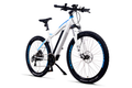 NCM Moscow Plus - Upgrade to 48V25ah for $199- Amego Electric Vehicles
