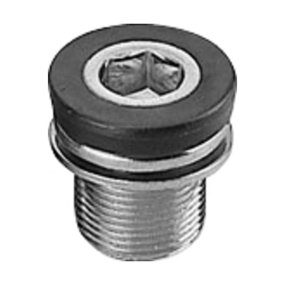 SUNRACE OCT/ISIS CRANK BOLTS Pair - Amego Electric Vehicles