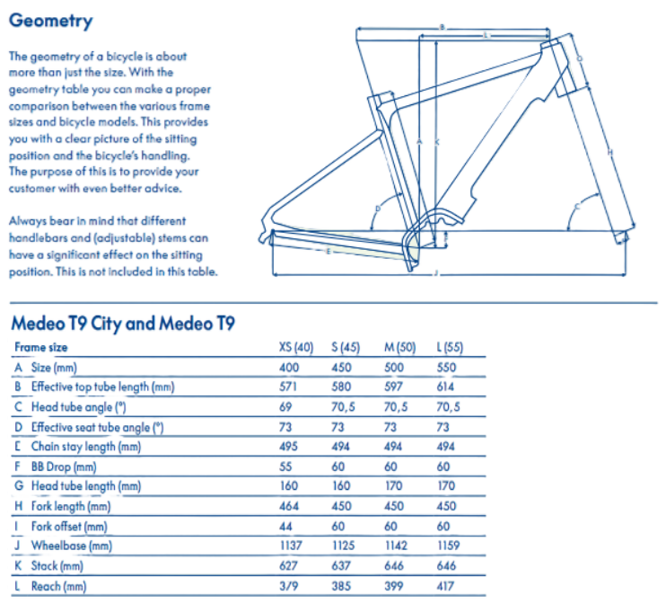 Gazelle Medeo T9 High-Step