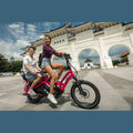 TERN Sidekick Wide Decks GSD - Amego Electric Vehicles