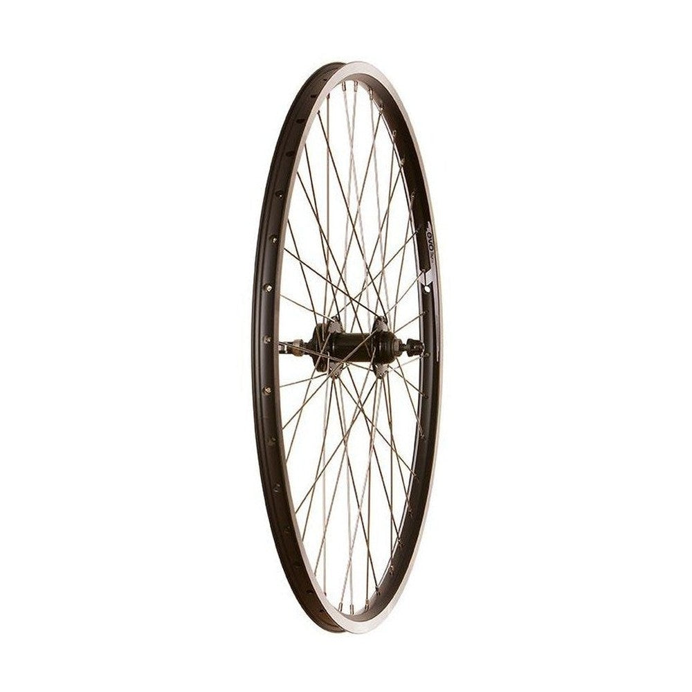 Wheel Shop Evo Tour 19 Black Front Wheel 27.5'' 36 Holes 100mm Rim and Disc IS 6-bolt - Amego Electric Vehicles