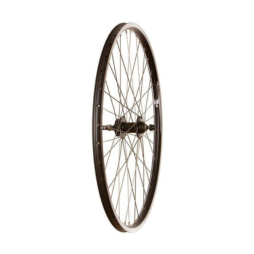 Wheel Shop Evo Tour 19 Black Front Wheel 27.5'' 36 Holes 100mm Rim and Disc IS 6-bolt - Amego Electric Vehicles