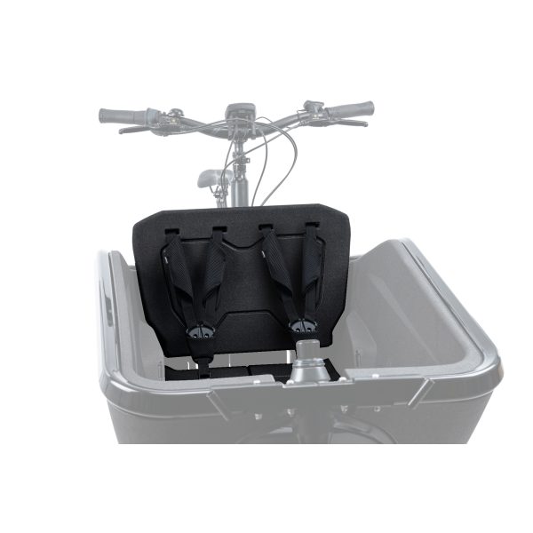 Cube Cargo Bike Seat for Two Kids Seats (2 kids, each 3 point harnesses)