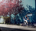 THULE Yepp Maxi Frame Mount