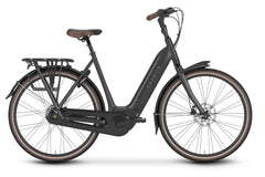 Gazelle Arroyo Elite C8 Low-Step