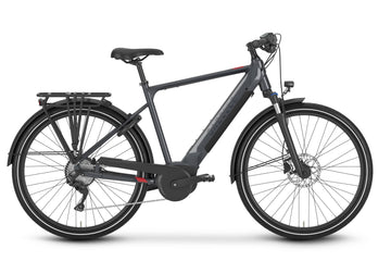 Gazelle Medeo T10 High-Step
