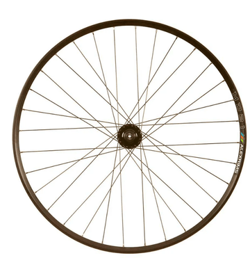 Alex Rim MD21 29" Double Wall Front Wheel Black/Steel Spokes Quick Release with Tektro Rotor 180mm