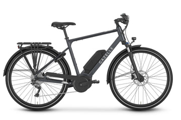 Gazelle Medeo T9 High-Step