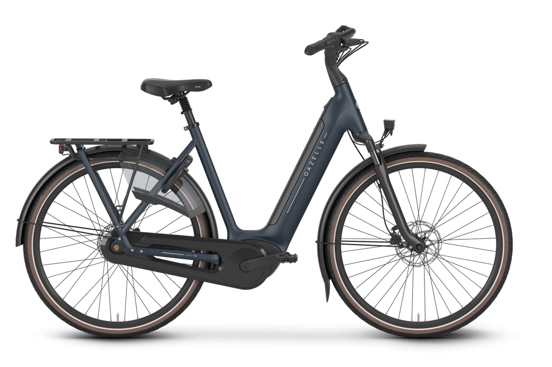 Gazelle Arroyo C8 Bosch Smart System - Amego Electric Vehicles